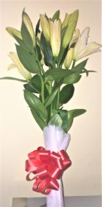 5 Oriental White lily
